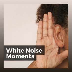 Download track White Noise No Fade Loopable White Noise Baby Sleep MusicThe White Noise