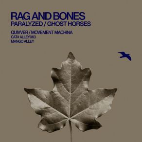 Download track Paralyzed (Original Mix) Rag And Bones