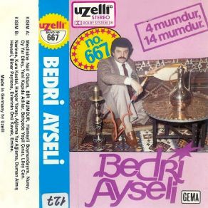 Download track Bir Mumdur Bedri Ayseli