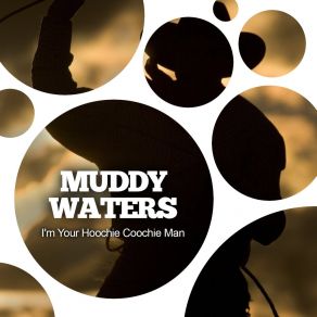 Download track I Be Bound To Write To You Muddy Waters