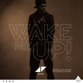 Download track Wake Me Up (Avicii Speed Remix) Aloe Blacc, Avicii
