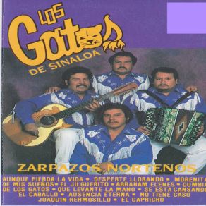 Download track El Capricho Los Gatos De Sinaloa