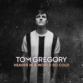 Download track Never Let Me Down Tom GregoryVize