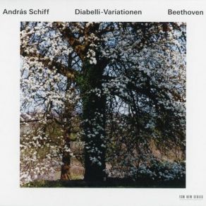 Download track Var. IX - Allegro Pesante E Risoluto Ludwig Van Beethoven, András Schiff