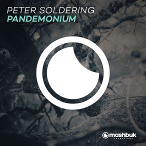 Download track Pandemonium (Original Mix) Peter Soldering