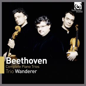 Download track 4. Trio For Piano Violin And Violoncello No. 7 Archduke In B Flat Major Op. 97 No. 1 - IV. Allegro Moderato - Presto Ludwig Van Beethoven