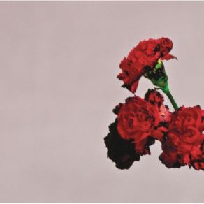 Download track You & I (Nobody In The World) John Legend