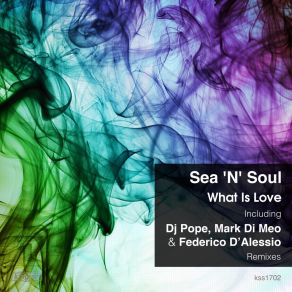 Download track What Is Love (Original Extended Mix) Sea'n'Soul