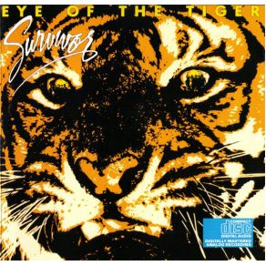 Download track Eye Of The Tiger Survivor