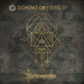 Download track Afreak (Original Mix) Domino DB