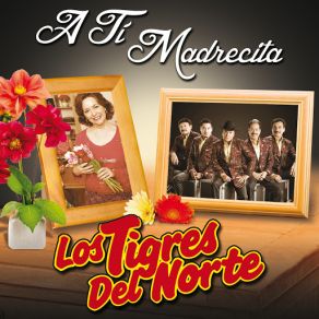 Download track No Sufras Madre (Remastered 2015) Los Tigres Del Norte