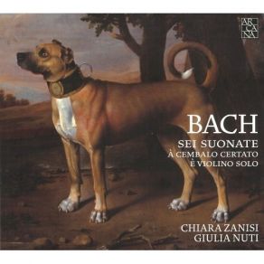 Download track 3. Violin Sonata No. 1 In B Minor BWV 1014: III. Andante Johann Sebastian Bach