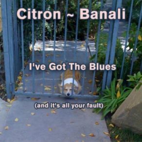 Download track It'S All Your Fault Citron - Banali