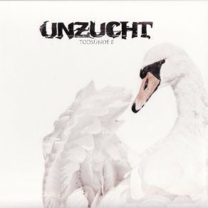 Download track Der Letzte Tanz Unzucht
