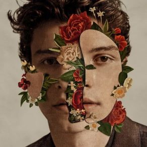 Download track Because I Had You Shawn Mendes