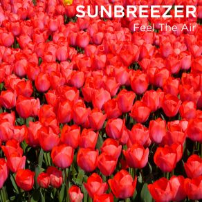 Download track Alcohol Free Sunbreezer