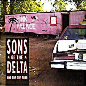 Download track Feel Like Going Home (Bonus Live Track) Sons Of The Delta