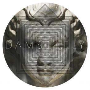 Download track A Hunter Gathers Damselfly
