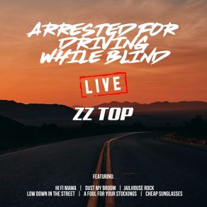 Download track Arrested For Driving While Blind (Live) ZZ Top