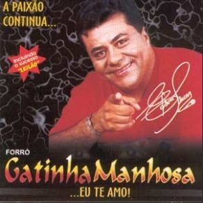 Download track Não Basta Gatinha Manhosa