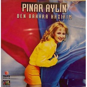 Download track Söyle Ne Yaptım Pınar Aylin