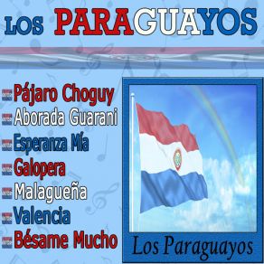 Download track Pajaro Choguy Los Paraguayos