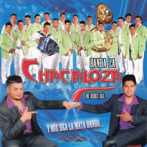 Download track Maldito Amor Banda La Chacaloza De Jerez Zacatecas