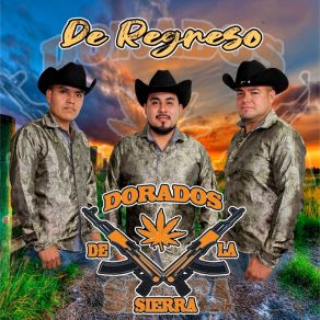 Download track Amor Divino Dorados De La Sierra