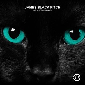 Download track Send Me An Angel (Radio Edit) James Black Pitch