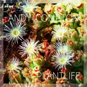Download track Above The Sky Andy ComptonJeff Bass, Kafele Bandele, Andrew Barton