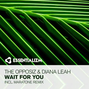 Download track Wait For You (Maratone Radio Edit) Diana Leah, The Opposiz