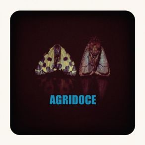 Download track Bday Agridoce