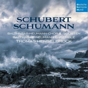 Download track 03. Symphony No. 7 In B Minor, D. 759 Unfinished II. Andante Con Moto Balthasar Neumann Chor, Balthasar - Neumann - Ensemble