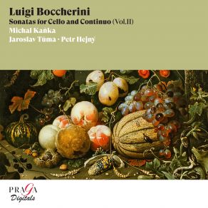 Download track Boccherini: Sonata No. 4 In A Major, G. 4: III. Affetuoso Jaroslav Tůma, Michal Kanka, Petr Hejny