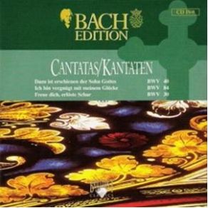 Download track Freue Dich, Erlöste Schar BWV 30 - XII Choral (Coro) Johann Sebastian Bach