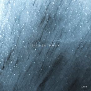 Download track Silver Dusk (Volen Sentir Retouch) About: RiverVolen Sentir
