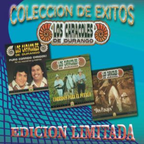 Download track Emocion Pasajera Los Caracoles De Durango