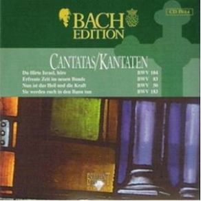 Download track Du Hirte Israel, Höre BWV 104 - III Aria (Tenore) Johann Sebastian Bach
