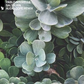 Download track Saltburn (Audio Dope Remix) Pablo NouvelleAudio Dope