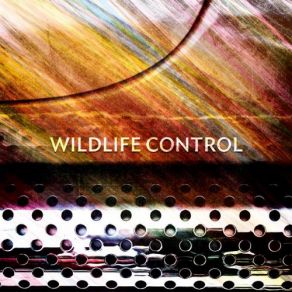 Download track Lose Wildlife Control