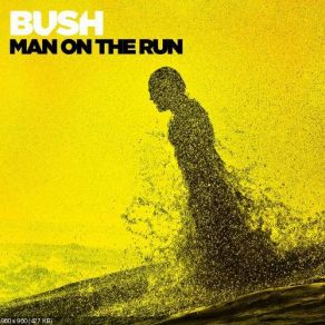 Download track Dangerous Love Bush