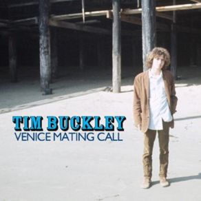 Download track Venice Mating Call (Remastered) Tim Buckley