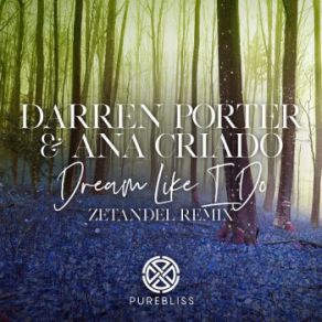 Download track Dream Like I Do (Zetandel Remix) Ana Criado, Darren Porter