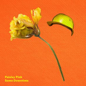 Download track Whatever Story You're In Paisley PinkNaiad