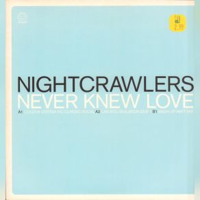 Download track Never Knew Love (Tees Freeze Radio Mix) The Nightcrawlers