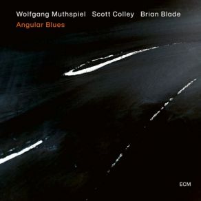 Download track Angular Blues Brian, Scott Colley, Wolfgang Muthspiel