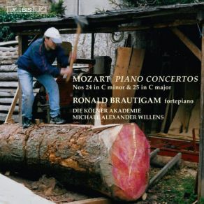 Download track Piano Concerto No. 20 In D Minor, K 466 - III. Allegro Assai Ronald Brautigam, Die Kolner Akademie, Michael Alexander Willens
