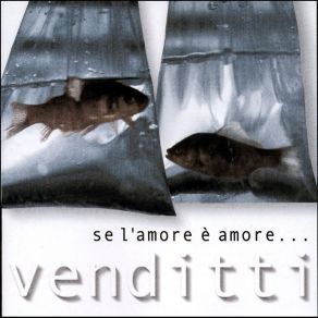 Download track Una Stupida E Lurida Storia D'Amore Antonello Venditti