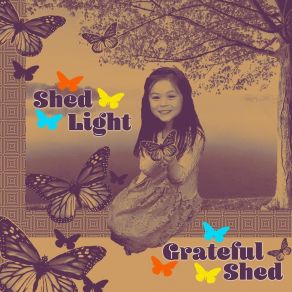 Download track Butterfly Shed Light