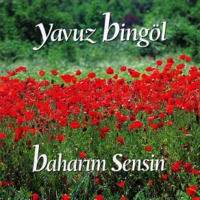 Download track Suzan Suzi Yavuz Bingöl